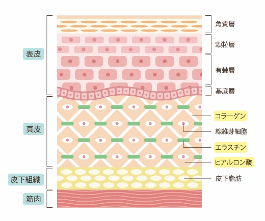 他の光脱毛との違い